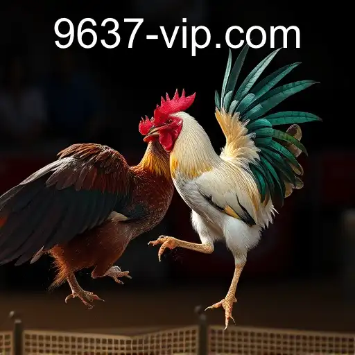 The Rise and Impact of Online Sabong: A Deep Dive into the Phenomenon with 9637.com